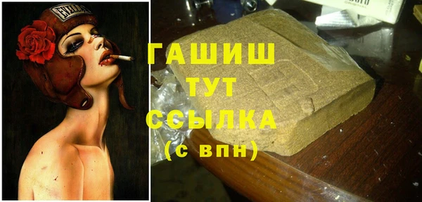 индика Коряжма