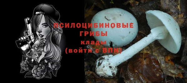 твердый Алексеевка