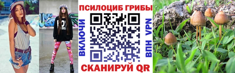 Галлюциногенные грибы GOLDEN TEACHER  Шумиха 